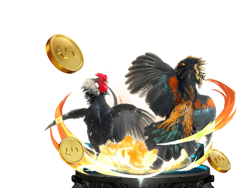 Tổng quan các chương trình khuyến mãi